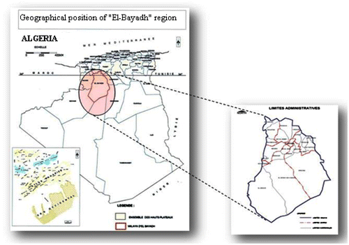 Fig. 1 Geographical position of the study area ‘‘El Bayadh”.