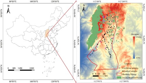 Figure 1. Map of the study area in the southeastern of Shanxi Province, China. The red line box is Huodong mining district, the green area is the Taiyue Mountain forest, Black and purple points are the coniferous and broadleaved forest sampling sites, respectively.