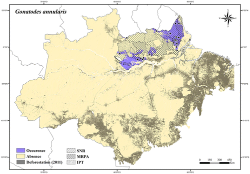 Figure 89. Occurrence area and records of Gonatodes annularis in the Brazilian Amazonia, showing the overlap with protected and deforested areas.