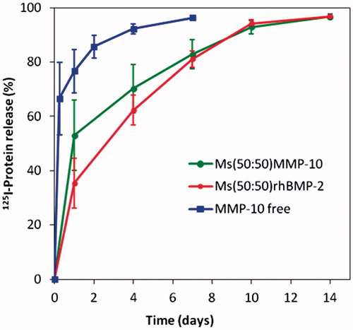 Figure 1. 125I-BMP-2 and 125I-MMP10 (%) remaining at the implantation site after injection of free125I-MMP formulation (S-125I-MMP) and after injection of the microsphere systems M-125I-MMP and M-125I-BMP into the calvaria defects in mice.