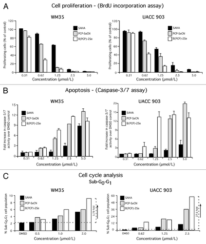 Figure 3. PCP-SeCN and B(PCP)-2Se inhibited melanoma cell growth by reducing cellular proliferation, triggering apoptosis and elevating levels of sub-G0-G1 phase cells in the cell cycle. (A and B) Cell proliferation and apoptosis inhibited melanoma cell proliferation and triggered apoptosis more effectively than SAHA. WM35 and UACC 903 cells were treated with increasing concentrations of SAHA, PCP-SeCN and B(PCP)-2Se and cell proliferation and apoptosis rates measured after 72 h exposure using BrdU incorporation (A) and Apo-ONE homogenous caspase-3/7 assay kits (B). Data represents average of two to three independent experiments; bars ± SE (C) PCP-SeCN and B(PCP)-2Se increased the sub-G0-G1 population in melanoma cells. WM35 and UACC 903 cells were treated with increasing concentrations of SAHA, PCP-SeCN and B(PCP)-2Se for 72 h. Total cells (floating and adherent) were collected, stained with propidium iodide and analyzed using a FACScan analyzer. A 4–28 fold increase in sub-G0-G1 cells compared with vehicle DMSO treated cells was observed following treatment with PCP-SeCN or B(PCP)-2Se (C).