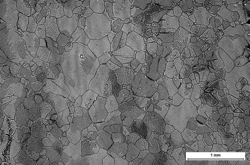 Figure 2. LOM image of the sample quenched from 900°C with 25X magnification, the scale bar is 1 mm.