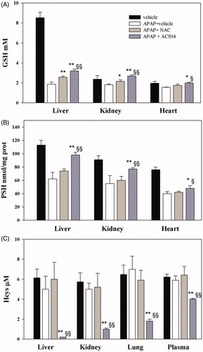 Figure 7. Protection against acetaminophen toxicity. Three out of four groups of rats were treated ip with 2 g/kg acetaminophen (APAP). 15′ before acetaminophen treatment and 2 h and 4 h after, 50 mg/kg ACS94 (or equimolar NAC) or vehicle was orally administered to rats. Vehicle group: rats treated with saline + DMSO and carboxymethylcellulose. The glutathione (GSH), protein thiols (PSH), and homocysteine (Hcys) were then measured in the organ homogenates through HPLC. The total Hcys was measured in the plasma. The GSH and PSH levels are reported for the liver, kidneys, and heart, whereas the homocysteine levels are reported for the liver, kidneys, and lungs. Data are the mean ± SD; n = 4 for each group *p < .05 vs APAP + vehicle; **p < .01 vs APAP + vehicle; §p < .05 vs APAP + NAC; §§p < .01 vs APAP + NAC.