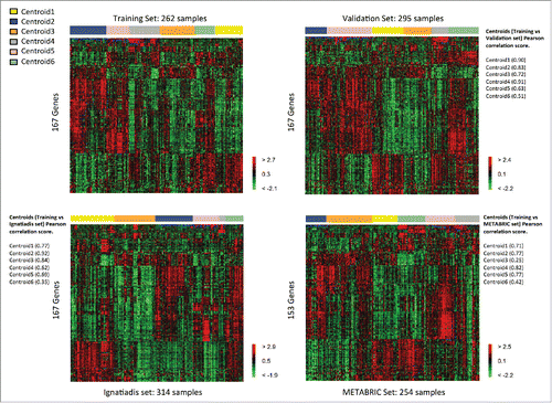 Figure 2. Heatmaps of the selected genes in the TNBC training set (upper left) and the TNBC validation sets (upper right: validation, lower left: Ignatiadis, lower right: METABRIC).