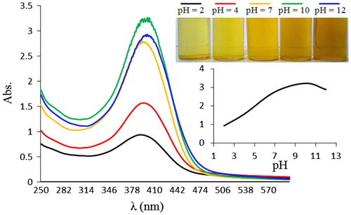 Figure 6. UV–vis of copolymer (0.65 mg/mL) at different pH at 20 °C.
