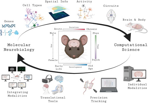 Figure 1. From macro to micro: increasing resolution in stress neurobiology. State-of-the-art molecular and computational advances employed in stress neurobiology research, with a focus on the ever-increasing spatiotemporal resolution in cell biology and behavioral science. The response to stress can be explored at different levels. For example, the type of stressor (physical [Phys] vs. psychological [Psych]), duration of the stressor (acute vs. chronic), developmental stage (early life, adolescence, adulthood, old age), or sex (male vs. female). Created with BioRender.com.