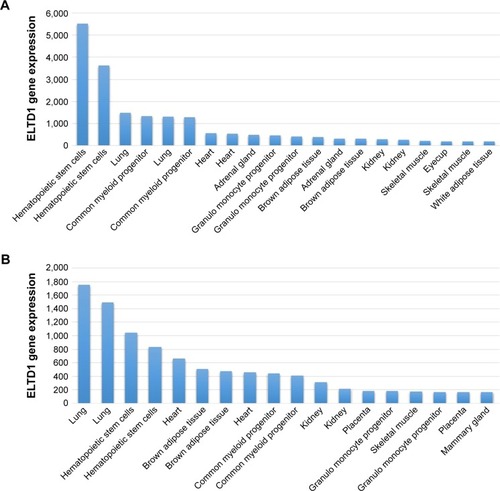 Figure 2 ELTD1 gene expression in tissues, organs, or cell lines in the 1,418,058 (A) and 1,418,059 (B) databases. The samples were obtained from mice. Data were obtained from the Biogps online database (http://biogps.org/#goto=genereport&id=170,757, accessed October 17, 2015).Citation64 Results are represented as the 20 most highly expressed gene levels for each probe in order to highlight the most relevant data.