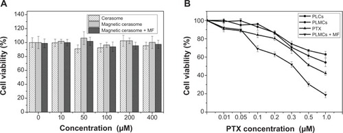 Figure 9 Cytotoxicity study of PTX-free cerasomes and PTX-loaded cerasomes compared to PTX in human HeLa cells.Notes: (A) PTX-free cerasomes and (B) PTX-loaded cerasomes. Cell incubation time: 24 hours. Data are expressed as mean ± standard deviation (n=3). Intensity of applied external magnetic field: ~0.42 T.Abbreviations: MF, in the presence of applied external magnetic field; PLCs, PTX-loaded cerasomes; PLMCs, PTX-loaded magnetic cerasomes; PTX, paclitaxel.