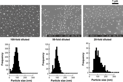 Figure 4 LMW-H/P NPs produced by mixing diluted protamine and LMW-H. Equally diluted aqueous LMW-H solution and protamine solution were mixed at a ratio of 7:3 (vol:vol) to produce LMW-H/P NPs. Produced nanoparticles were PECs and nanoparticle size was 84.6 ± 26.8 and 95.0 ± 27.0 nm after mixing 100- and 50-fold diluted protamine and LMW-H, respectively. When mixing 20-fold diluted protamine and LMW-H solutions, LMW-H/P NPs were generated and the size was 112.5 ± 46.1 nm.Abbreviations: LMW-H, low-molecular-weight heparin; LMW-H/P, low-molecular-weight heparin/protamine; NPs, nanoparticles; PECs, polyelectrolytes.