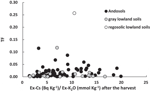 Figure 6. Relationship between Ex-Cs/Ex-K2O in the soil after the harvest and TF in 2012.
