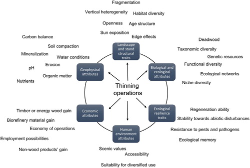 Figure 1. A modified Leopold matrix of the different aspects affected by young stand thinning operations, divided into six partly overlapping domains: landscape-level and stand structural traits, biological attributes, geophysical attributes, economic attributes, human environment attributes and ecological resilience traits.