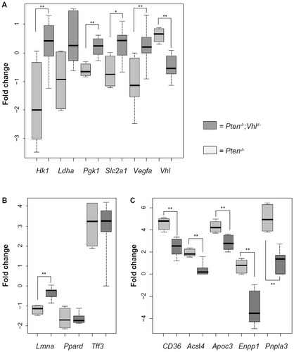 Figure 2 Genes related to hypoxia and fatty liver are differentially expressed between mouse genotypes.