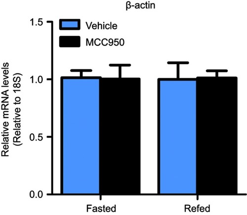 Figure S1 β-Actin does not differ between groups. Real-time qPCR indicated that housekeeping gene 18S and β-actin do not differ between groups. n=8 per group.