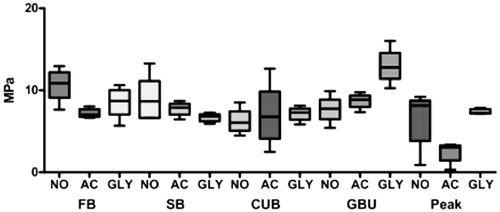 Figure 1. Shear bond strength box plot (MPa) of the different groups.