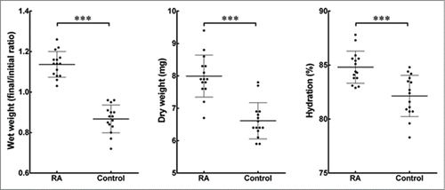 FIGURE 3. Effects of RA supplementation on the hydration of cell-encapsulating compressed collagen gels. The weight of all gels was measured before and after the 30 d culture period to find the differences in the wet weight. The dry weight was quantified following freeze-drying of the gels. The percentage of hydration denotes the loss of bound water from the collagen gels with or without supplementation of RA. Data (mean ± SD) were obtained from 3 independent experiments (n = 3) and compared using t-test (*** correspond to P <0.001).