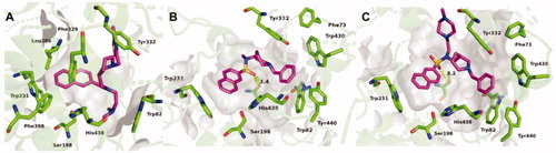 Figure 4. Crystal structures of 2C (A), 3A (B), and 3B (C) (purple stick models) bound to huBChE (green ribbon model; PDB codes 6R6V, 6RUA, 6R6W, respectively). Key residues in the active site are shown as green sticks. (B, C) The polar H-bond between Thr120 and the sulphonamide moiety of compounds 3A and 3B, respectively, is shown as yellow dashes (distance: B, 3.4 Å; C, 3.2 Å).