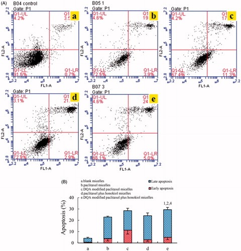 Figure 8. Apoptosis inducing effects on LLT cells after incubation with the varying formulations. (A) Plots by flow cytometry of apoptosis-inducing effects in LLT cells, (B) Apoptosis- inducting effects after treatments with the varying formulations. Data are presented as the mean ± SD (n = 3). a. blank micelles; b. paclitaxel micelless; c. DQA modified paclitaxel micelles; d. paclitaxel plus honokiol micelles; e. DQA modified paclitaxel plus honokiol micelles. p < .05, 1, vs. a; 2, vs. b; 3, vs. C; 4, vs. d.