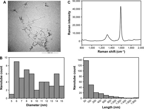 Figure 1 Characterization of c-SWNTs.Notes: TEM image (A). Length and diameter distribution by TEM (B). Raman spectrum (C). IG/ID by Raman was 5.50. Zeta potential was −44.1 mV. Metal impurities of Al, Fe, Ti, Cr, Co, and Ni were 0.89, 0.43, 0.30, 0.08, 0.08, 0.03 wt%, respectively.Abbreviations: TEM, transmission electron microscopy; IG, Raman intensity of G band; ID, Raman intensity of D band; c-SWNTs, carboxylated single-walled carbon nanotubes.