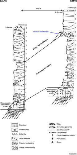 Figure 28. Lithologs for the Mesozoic units south of Paralana hot springs showing Sheehan Tillite Member overlying the Cadna-owie Formation.