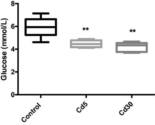 Figure 3. Effect of cadmium on serum glucose level. There is a significantly reduction (**p < 0.01) in the glucose level in both cadmium treated groups compared with the control.