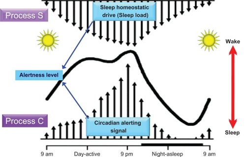 Figure 2 Two processes govern the daily expression of the sleep–wake cycle in humans. Process S represents a homeostatic sleep pressure that accumulates in a nonlinear progression from the time of last sleep episode. With a subsequent sleep episode, the signal strength representing Process S decays at an exponential rate. Juxtaposed against Process S is Process C, which in this case is represented by a circadian alerting signal. Process C follows a nearly sinusoidal pattern, repeating independently of sleep episodes. Sleep and wakefulness are only maintained in a consolidated fashion when the signals from Process S and Process C are appropriately aligned.Copyright © 2005. Adapted with permission from Kryger MH, Roth T, Dement WC, eds. Principles and Practices of Sleep Medicine. Philadelphia, PA: WB Saunders; 2005.