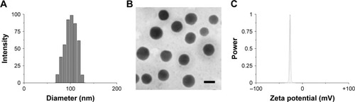 Figure 1 Particle size distribution (A), zeta potential (B) and morphology (C) of HA-SiLN/QD.Note: Scale bar: 100 nm.