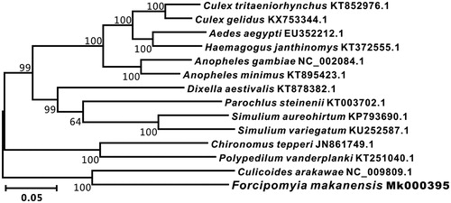 Figure 1. The maximum-likelihood phylogenetic tree of 14 Diptera species. The nucleotide sequences of the complete mitochondrial genome were downed from GenBank. The phylogenetic tree was constructed by MEGA 7.0 and Bootstrap support is shown at nodes.