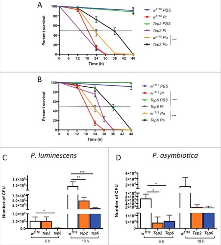 Figure 2. Survival and bacterial load analysis for tep2 and tep6 mutants after Photorhabdus infection. Survival curves for loss-of-function (A) tep2 mutants and (B) tep6 mutants with w1118 (background control flies) are shown. Flies (n = 20) were injected in the thorax by microinjection with 1XPBS (septic injury control), P. luminescens (Pl) or P. asymbiotica (Pa). Survival was monitored at 6 h intervals for 48 h. The black dotted line represents 50% survival. Colony forming units (CFU) of (C) P. luminescens and (D) P. asymbiotica are shown in tep2, tep6 and control flies (n = 5 per experimental condition) after 6 and 18 hpi. CFU were quantified through quantitative PCR of makes caterpillars floppy (mcf-1) in P. luminescens and the insecticidal toxin complex protein gene (tccC3) in P. asymbiotica. Significant differences are indicated with asterisks (# p < 0.05, ## p <0.01, ### p <0.001). The means from 3 independent experiments are shown and error bars represent standard errors (survival) and standard deviation (bacterial load)