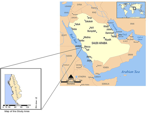 Figure 1 A map showing jeddah province in Saudi Arabia (the study area). Redrawn from https://www.wikiwand.com/en/List_of_cities_and_towns_in_Saudi_Arabia.Citation19