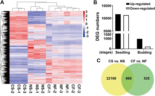 Figure 3. Gene expression change between chilled and non-chilled plants at the seedling and budding stages. (A) Heatmap visualization of global expression profile for each sample. Columns and rows in the heatmap represent samples and genes, respectively. Color scale indicates fold changes of gene expression. (B) The number of differentially expressed genes at the two development stages. (C) Venn diagrams show the common and specific DEGs between two developmental stages.