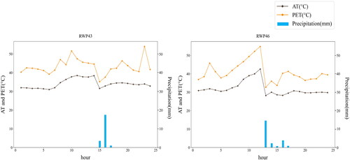 Figure 8. Changes in AT, PET, and precipitation over one day under RWP43 and RWP46.