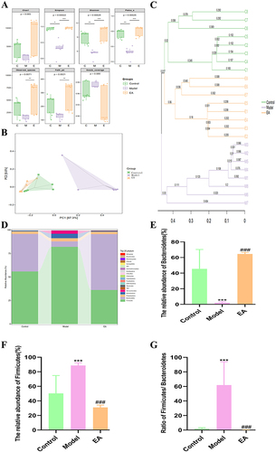 Figure 6 Effect of EA on gut microbiota of mice with high-fat diet (A) Alpha diversity index. (B) PCoA analysis. (C) UPGMA analysis. (D) Species group at phylum level. (E) The relative abundance of Bacteroidetes.(F) The relative abundance of Firmicutes (G)The ratio of Firmicutes to Bacteroidetes. n = 8, values are mean ± SEM; * (Control vs Model), *p < 0.05, ** p < 0.01,*** p < 0.001; ### p < 0.01 (Model vs EA).