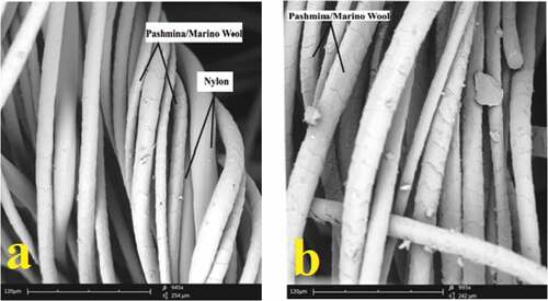 Figure 3. SEM images of (a) pashmina blended fabric before nylon dissolution, (b) after nylon dissolution.