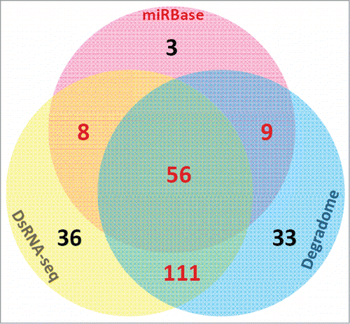 Figure 3. The numbers of the miRBase-registered (release 20) mature microRNAs of Arabidopsis thaliana supported by double-stranded RNA sequencing (dsRNA-seq) reads and degradome signatures, and those annotated as “high confidence” ones by miRBase are shown in the Venn diagram.