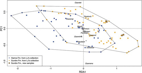 Figure 5. Redundancy analysis of species-level conodont faunas in samples from Lennart Jeppsson’s collections from the Hamra and Sundre formations (blue and orange circles, respectively), as well as of the newly collected samples in this study (squares). The analysis was constrained by formations. For clarity, only the most abundant species are shown (shortened taxonomic names).