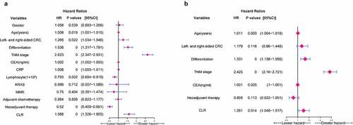 Figure 4. Univariate and multivariate analyses of the potential predictive factors for overall survival. (a) Univariate analysis of clinicopathological factors for overall survival. (b) Multivariate analysis of clinicopathological factors for overall survival