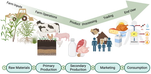 Figure 2. Livestock and poultry value chain segments in Sri Lanka; (1) raw material supply, (2) primary production, (3) secondary processing, (4) marketing, and (5) consumption.