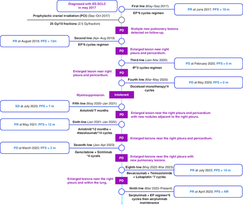Figure 3. Treatment timeline.The efficacy evaluation was judged according to the Response Evaluation Criteria in Solid Tumours (RECIST) (Version 1.1).EP: etoposide plus cisplatin; IP: irinotecan plus cisplatin; PR: partial response; PD: progressive disease; SD: stable disease.