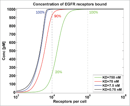 Figure 6. EGFR therapy, total concentration bound for high-high and low-low affinity compounds. Receptor binding as a function of receptor density on the cell surface: the influence of bivalent binding with different affinities. The green, red, blue and black solid lines represent binding of the antibody at an affinity of 750, 75, 7.5 and 0.75 nM, respectively. The black vertical lines indicate the receptor density for decoy cells (low receptor density = 104 receptors/cell) and target cells (high receptor density = 106 receptors/cell).