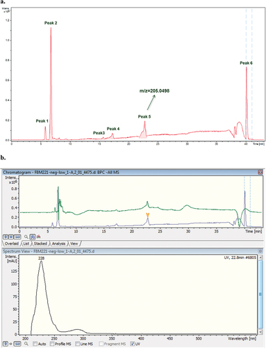 Figure 8. LC–MS (TIC, negative mode) of the T21F8 + P extract. a. Peak 1 corresponds to the elution front, peaks 3 and 6 are internal calibrant, peak 2 corresponds to glucose, peak 4 could be a fungal metabolite. Peak 5 contains the ion at m/z = 205.0498. b. UV spectrum of peak 5. c. Deconvolution of the peak 5 (m/z = 161, m/z = 205, m/z = 433). d. EIC (205.00) chromatogram with detail of UV spectrum and the HRMS of the peak at Rt = 22.8 min. e. MS2 of the ion at m/z = 205.0498 (Rt = 22.7 min).