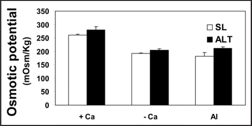 Figure 5 Osmotic potential of the Al-tolerant (ALT 301) and sensitive (SL) tobacco cell lines in Ca-depleted (- Ca), supplemented with 0.5 mM Ca (+ Ca) or Al-treated (Al) cultures for 18 h. Cells were filtered, homogenized in liquid nitrogen and then centrifuged. The clear supernatant (cell sap) was used to determine the osmotic potential using freezing point Micro-osmometer. Each point represents the mean value of three replicates ± SE from two independent experiments.