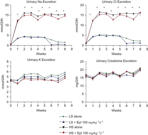 Figure 3. Effects of Eplerenone on urinary electrolytes and creatinine excretion in Dahl SS rats. Data are mean ± SEM (n = 8 for each group). Abbreviations: LS - low salt; HS - high salt; Epl - eplerenone. Urinary Na and Cl excretion were statistically significantly greater in the two high-salt diet groups than that in the two low-salt diet groups (*p < 0.05, HS groups vs. LS groups). Urinary K and creatinine excretion were not statistically significantly different among all groups (color figure available online).