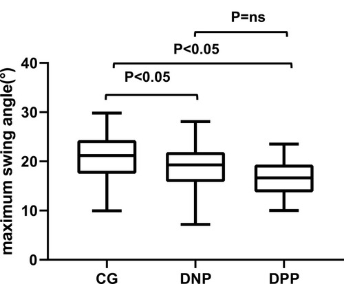 Figure 6 Mean of maximum swing angle (°) in different groups.