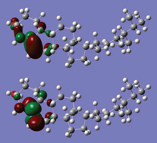 Figure 5.  3D images of highest occupied molecular orbital (HOMO, upper) and lowest unoccupied molecular orbital (LUMO, lower) of β-sitosterol molecule (DFT/6-31G* results).