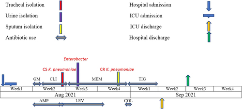 Fig. 2 Treatment process from the admission to the discharge of the patient. GM gentamicin, AMP ampicillin, CLI clindamycin, LEV levofloxacin, MEM meropenem, COL colistin, TIG tigecycline