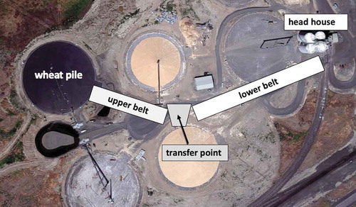Figure 1. Aerial view of a large wheat pile storage facility (upper belt ~70 m long, lower belt ~100 m long).