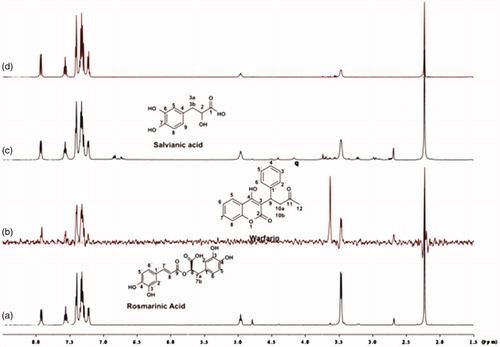 Figure 9. (a) 1H NMR reference spectrum of the complex rosmarinic acid–warfarin–BSA (0.2 mM:2 mM:20 μΜ), in Tris buffer 10 mM, pH = 7.4. (b) STD difference spectrum of the complex rosmarinic acid–warfarin–BSA (0.2 mM:2 mM:20 μΜ), in Tris buffer 10 mM, pH = 7.4. (c) 1H NMR reference spectrum of the complex salvianic acid–warfarin–BSA (0.2 mM:2 mM:20 μΜ), in Tris buffer 10 mM, pH = 7.4 (d) STD difference spectrum of the complex salvianic acid–warfarin–BSA (0.2 mM:2 mM:20 μΜ), in Tris buffer 10 mM, pH = 7.4 (details for the protons of rosmarinic acid in Figure 3, for salvianic acid in Supplementary Figure S6 and for warfarin in Supplementary Figure S13).