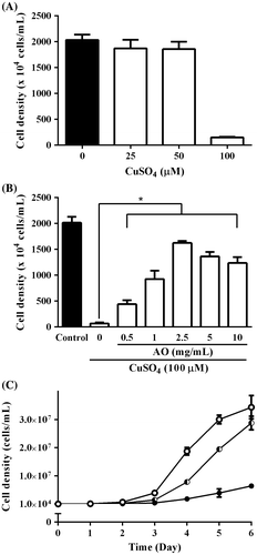Fig. 3. Effect of AO on C. reinhardtii under copper ion stress. (A) C. reinhardtii cells (1 × 104 cells/1 mL/well in 48-well plate) were incubated with indicated concentrations of CuSO4 (0–100 μM) for 6 days at 25 °C, and the cell numbers in each well were microscopically counted. Each value represents mean ± standard deviation of quartette measurements. (B) C. reinhardtii cells (1 × 104 cells/1 mL/well in 48-well plate) were incubated with indicated concentrations of AO (0–10 mg/mL) in the presence of CuSO4 (100 μM) for 6 days at 25 °C, and then the cell numbers in each well were microscopically counted. Solid column was control cultured under normal condition. Each value represents mean ± standard deviation of triplicate measurements. * indicates significant difference between with and without AO (p < 0.05). (C) C. reinhardtii cells (1 × 104 cells/1 mL/well in 48-well plate) were cultured under normal condition (open circle), or with CuSO4 (100 μM) in the presence (semisolid circle) or absence of 2.5 mg/mL of AO (solid circle) for 6 days at 25 °C, and the cell numbers in each well were microscopically counted every day. Each value represents mean ± standard deviation of triplicate measurements.