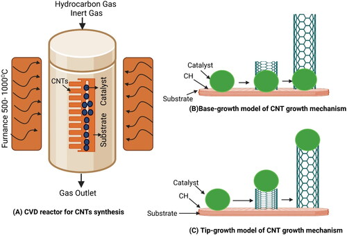 Figure 1. The diagram illustrates the process of CVD. (A) a simplified depiction of a CVD reactor utilized for synthesizing carbon nanotubes (CNTs); (B) A model showcasing the base-growth mechanism of CNT formation; (C) A model illustrating the tip-growth mechanism of CNT growth.