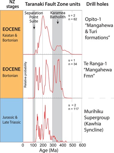 Figure 17. Aggregated detrital zircon U–Pb ages in a probability density function plot of a sample from each of the Mangahewa Formation and the Turi Formation, both from Opito-1. Below it is a similar plot of detrital zircon U–Pb ages for a Mangahewa Formation sample from Te Ranga-1 … The spectra in each of those two plots can be compared with a detrital zircon U–Pb age distribution of the Murihiku Supergroup sediment samples from sites in the Kawhia Syncline (data from Adams et al. Citation2007). The grey bands mark the age range of the Separation Point Suite (c. 124–103 Ma) and the Karamea Batholith (400–300 Ma).